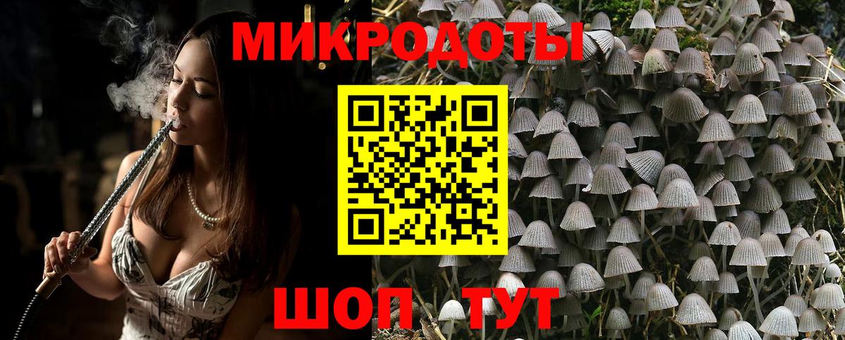 Псилоцибиновые грибы Psilocybe  Вход с VPN  Котовск  Псилоцибиновые грибы прущие грибы 